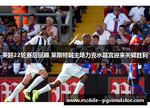 英超22轮赛后回顾 莱斯特城主场力克水晶宫迎来关键胜利 英超22轮赛后回顾 莱斯特城主场力克水晶宫迎来关键胜利