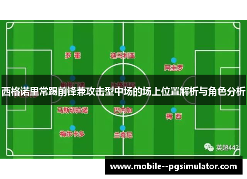 西格诺里常踢前锋兼攻击型中场的场上位置解析与角色分析 西格诺里常踢前锋兼攻击型中场的场上位置解析与角色分析