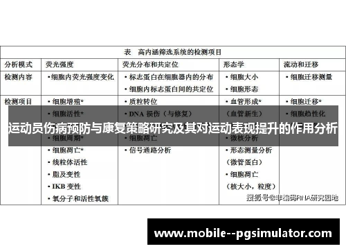 运动员伤病预防与康复策略研究及其对运动表现提升的作用分析