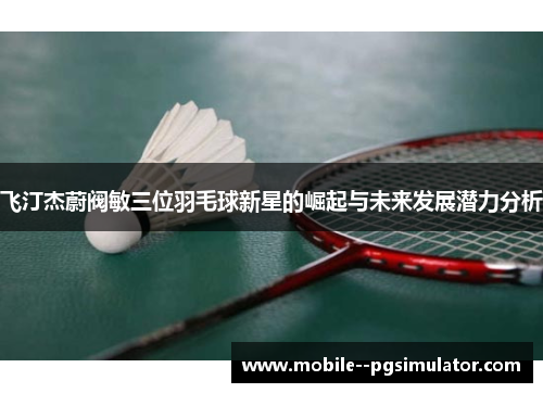 飞汀杰蔚阀敏三位羽毛球新星的崛起与未来发展潜力分析